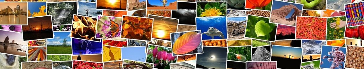 Iphone Foto Gallery